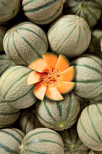 melon vrac decoupe fruit